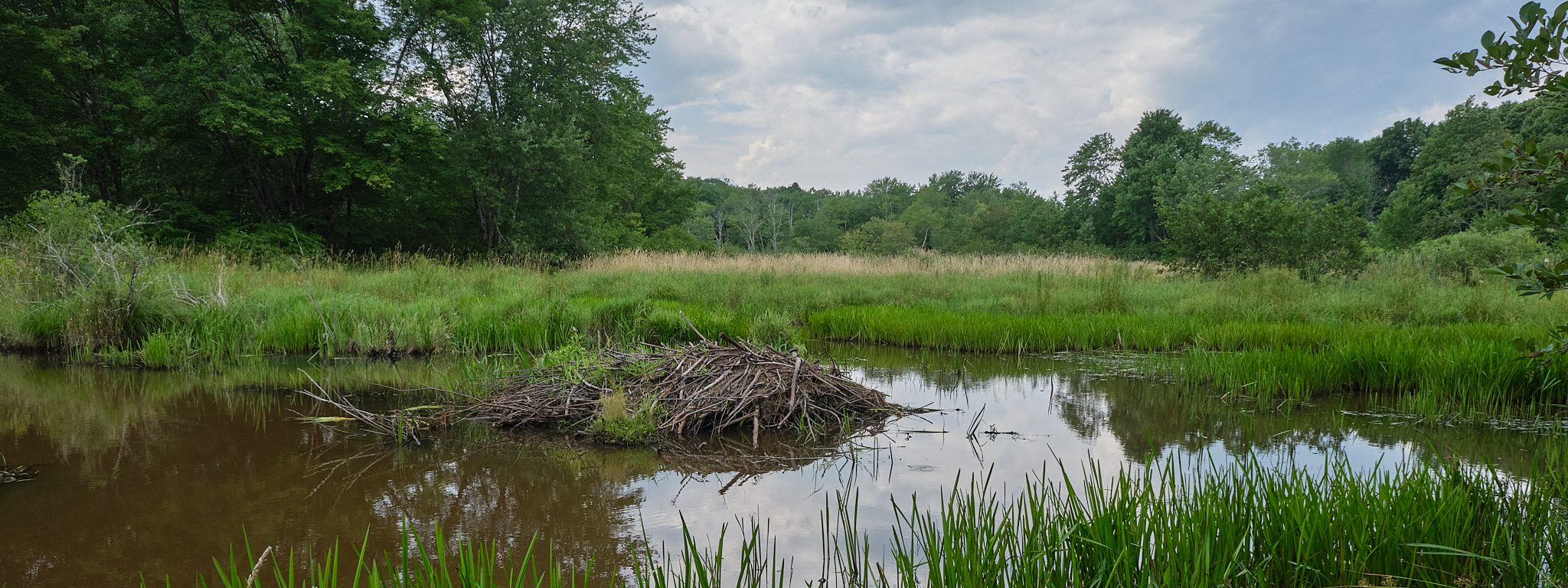 Wigwam Brook Sanctuary Litchfield Hills Audubon Society