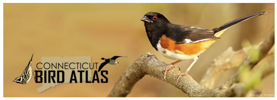 Home - Litchfield Hills Audubon Society