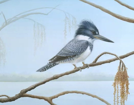 Artist’s Passion for Birds